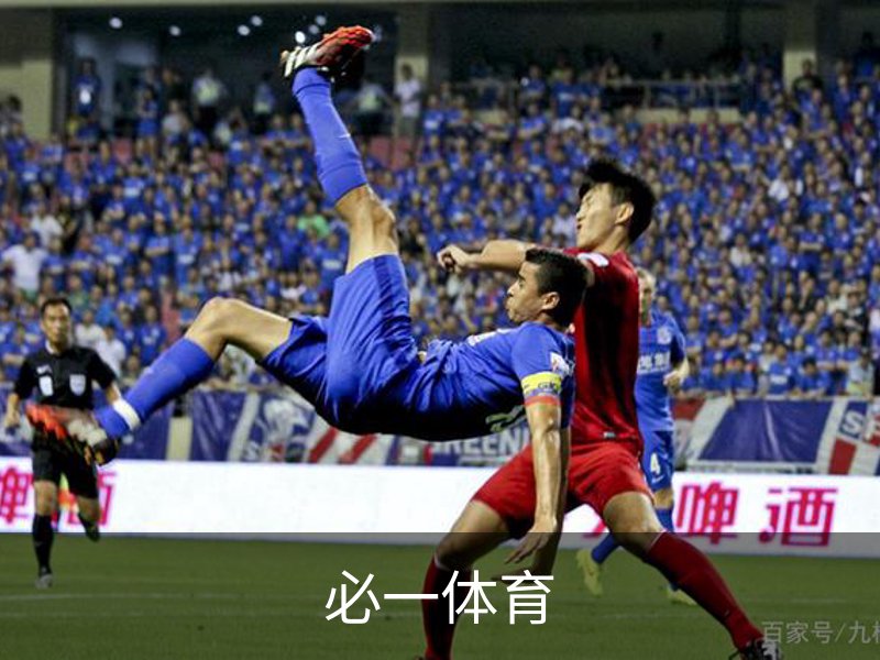 必一体育概况